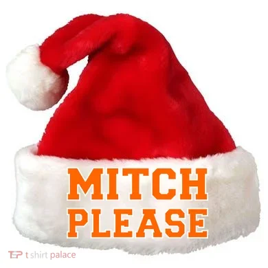 Mitch Please Santa Hat