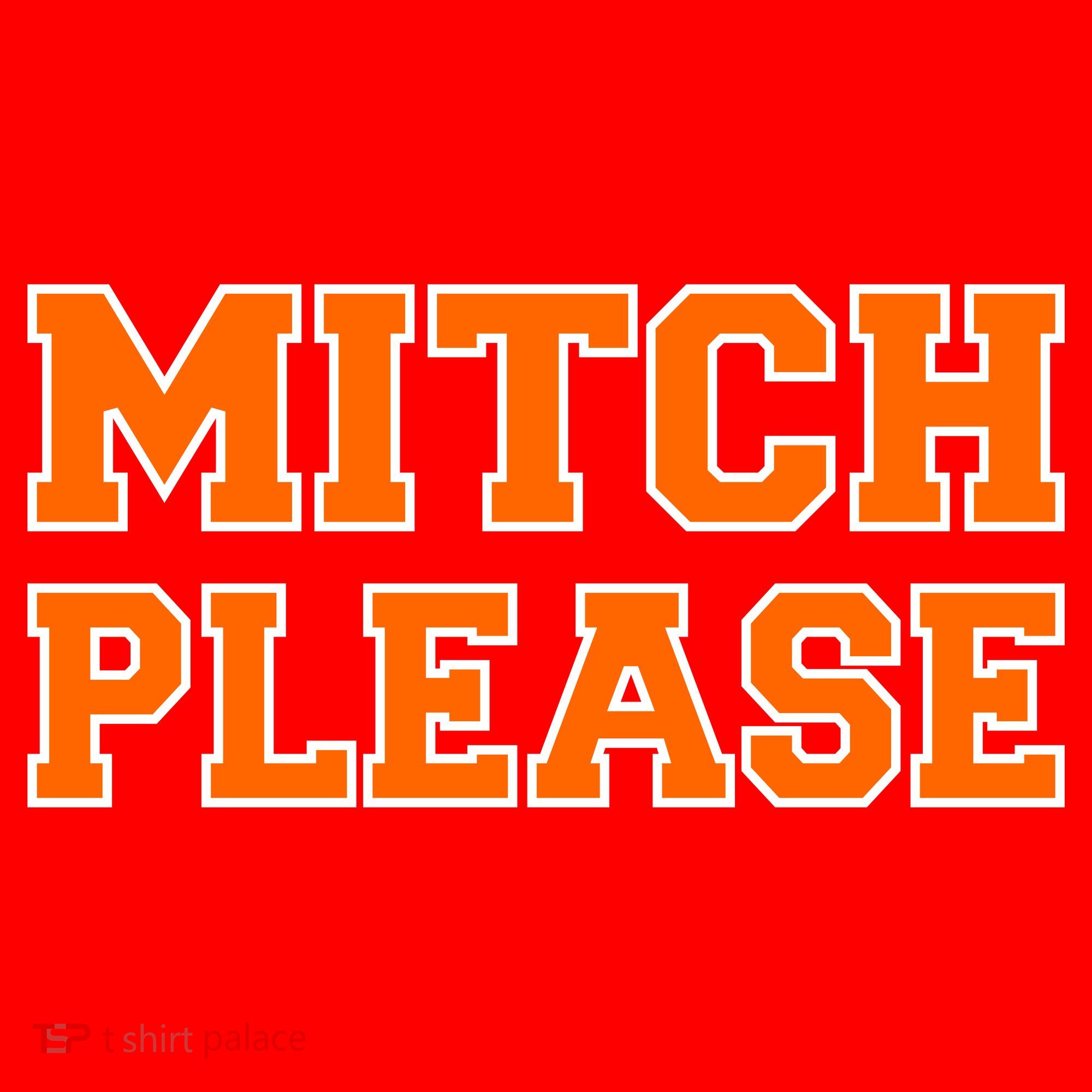 Mitch Please Santa Hat