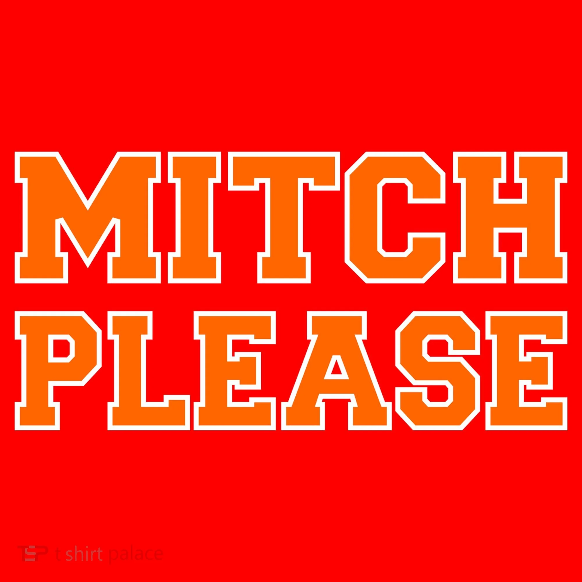 Mitch Please Santa Hat