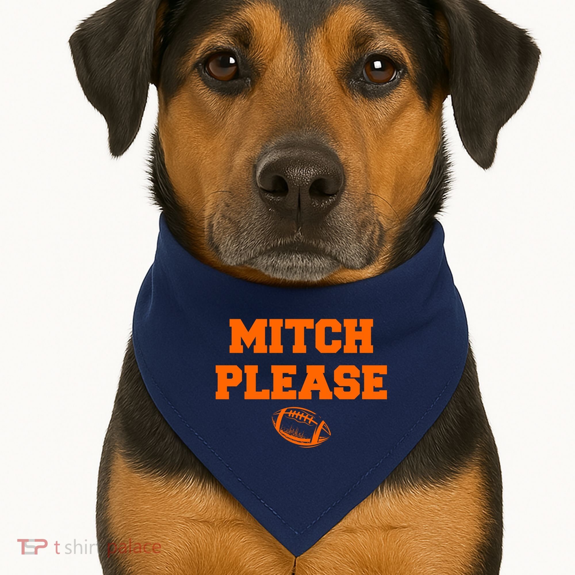Mitch Please Football Logo USA-Made Doggie Bandana