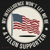 My Intelligence WonT Let Me Be A Felon Supporter Ornament thumb 1