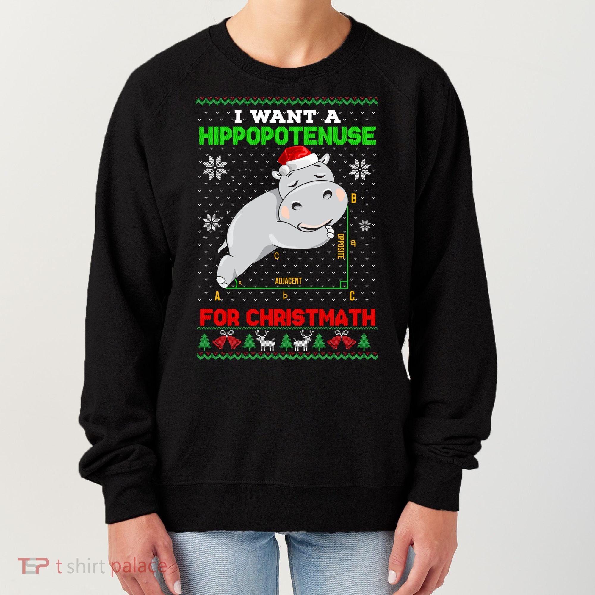 Math I Want A Hippopotenuse For Christmath Ugly Sweater Xmas Gift Women's Sweatshirt
