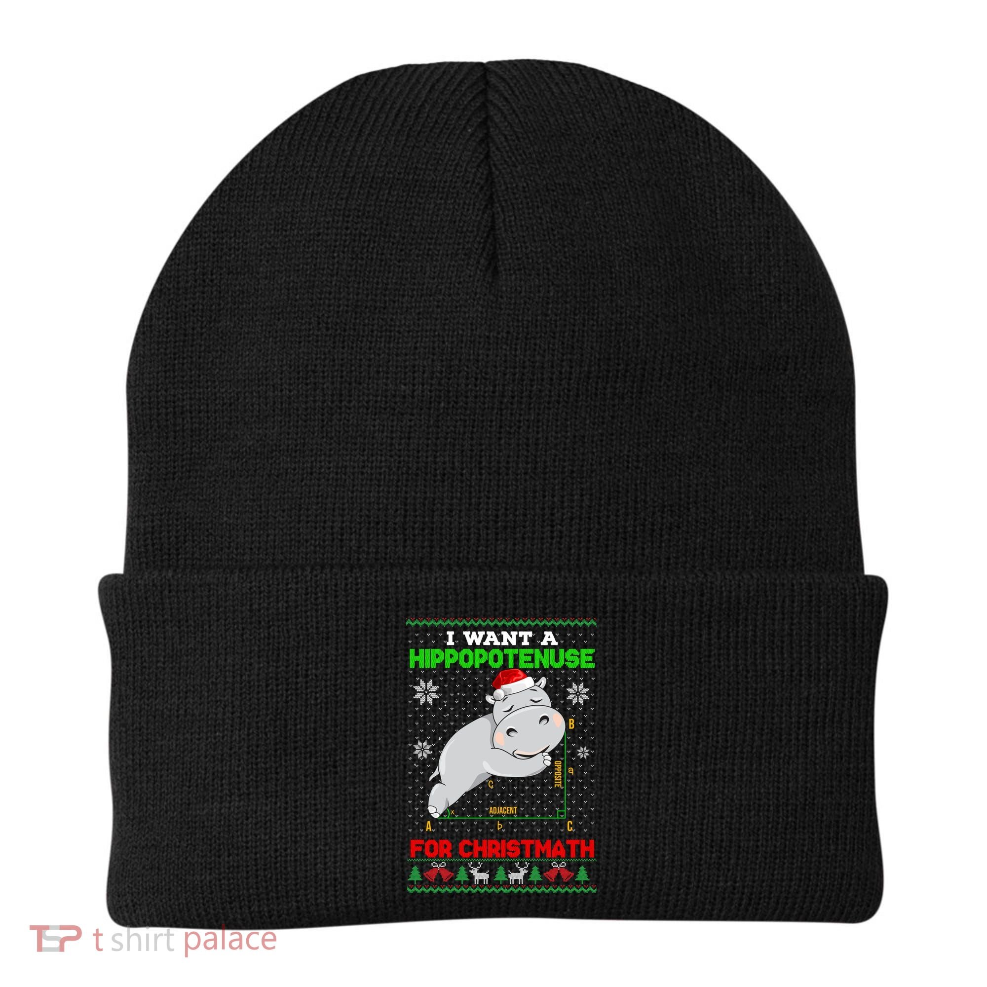 Math I Want A Hippopotenuse For Christmath Ugly Sweater Xmas Gift Beanie