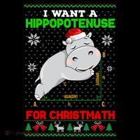 Math I Want A Hippopotenuse For Christmath Ugly Sweater Xmas Gift Women's Hoodie thumb 2