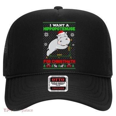 Math I Want A Hippopotenuse For Christmath Ugly Sweater Xmas Gift Hat