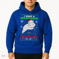 Math I Want A Hippopotenuse For Christmath Ugly Sweater Xmas Gift Hoodie thumb 2