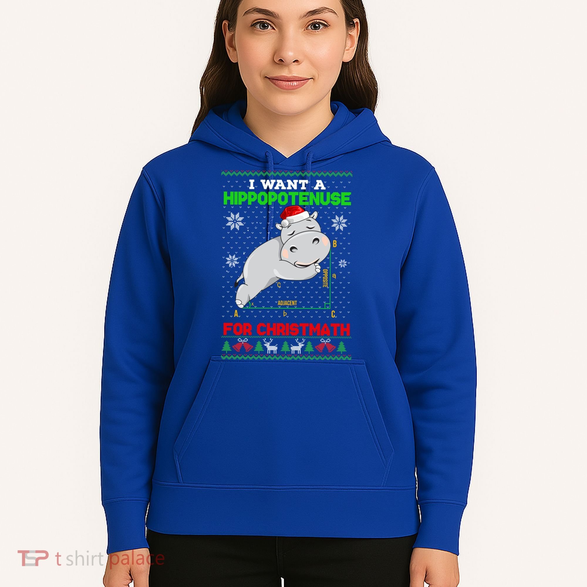 Math I Want A Hippopotenuse For Christmath Ugly Sweater Xmas Gift Hoodie