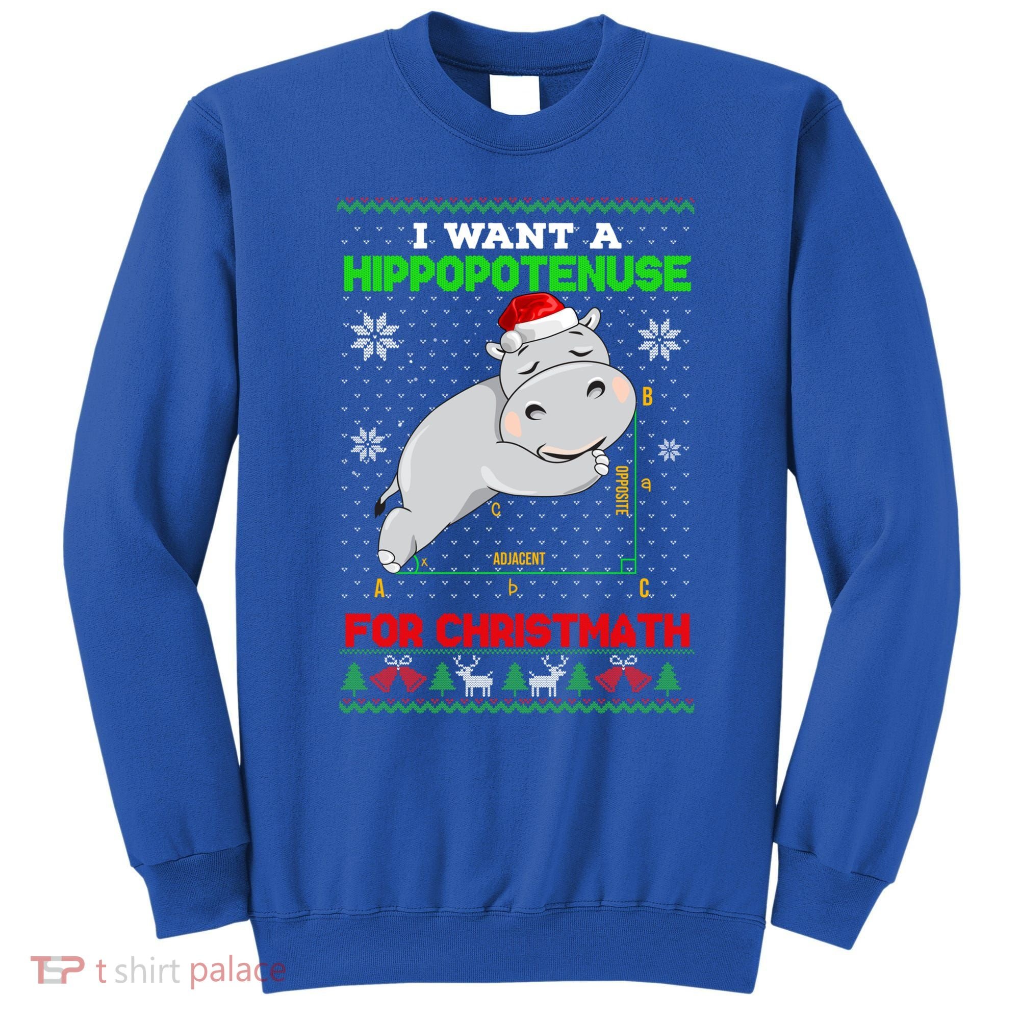 Math I Want A Hippopotenuse For Christmath Ugly Sweater Xmas Gift Sweatshirt