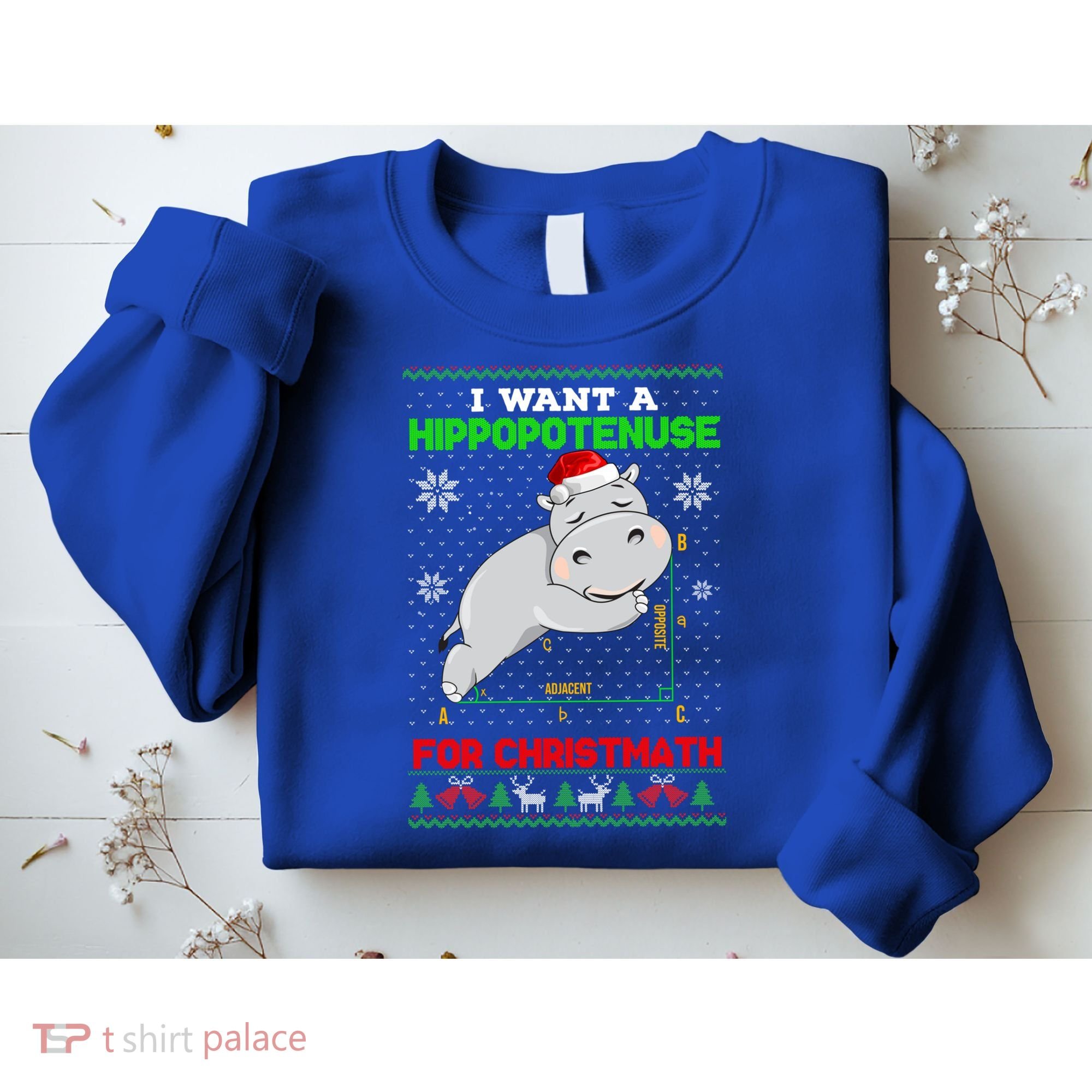 Math I Want A Hippopotenuse For Christmath Ugly Sweater Xmas Gift Sweatshirt
