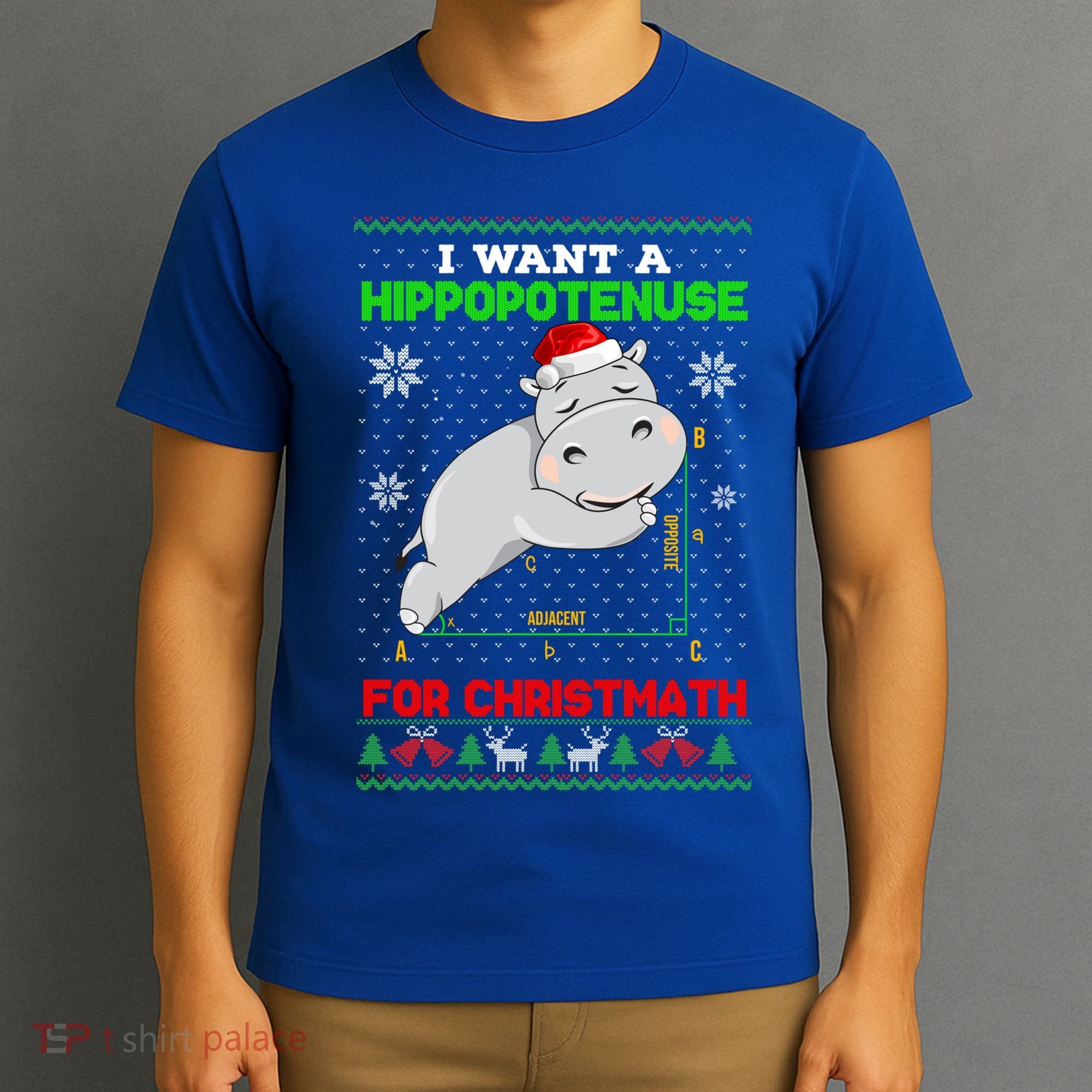 Math I Want A Hippopotenuse For Christmath Ugly Sweater Xmas Gift T-Shirt