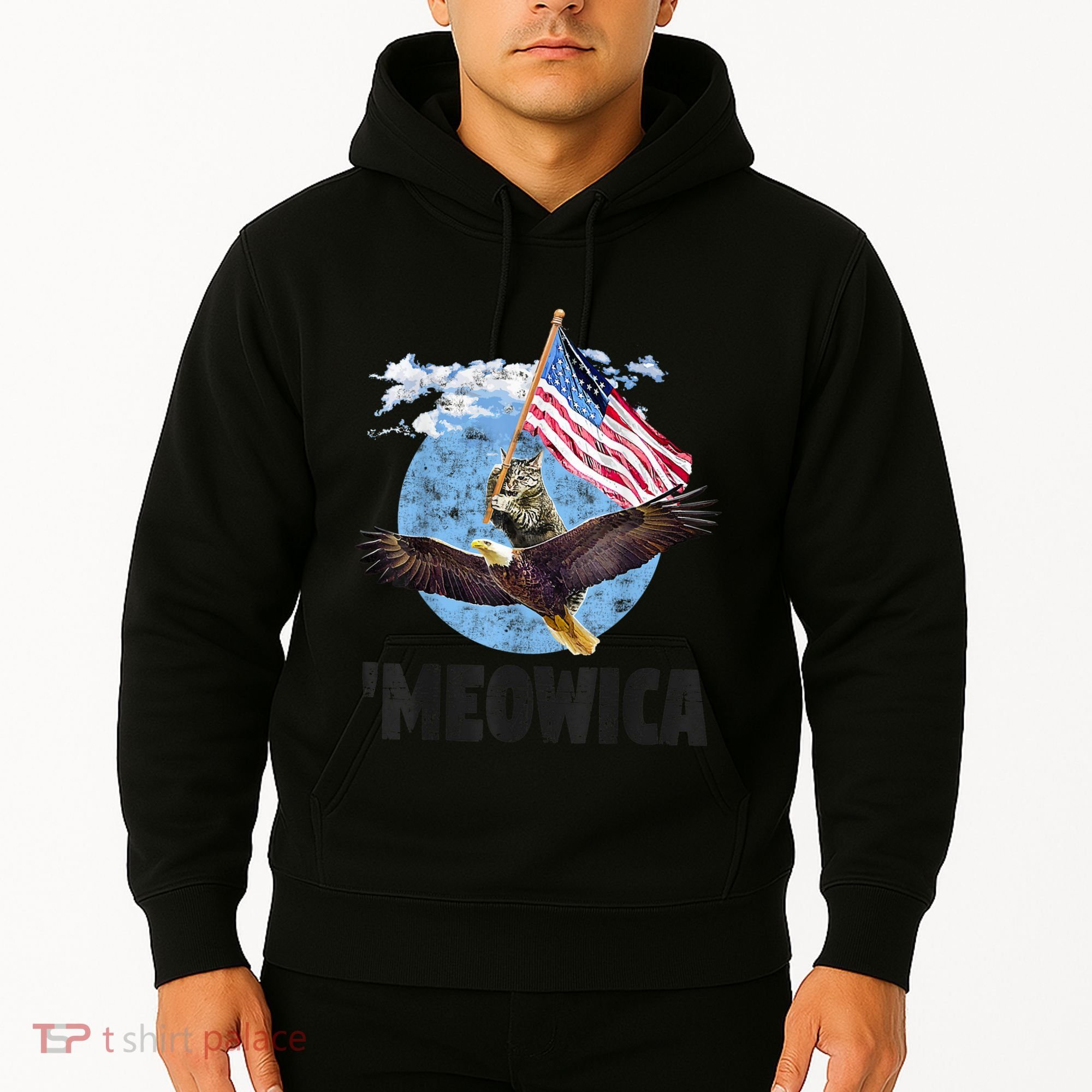Meowica July 4h Funny Cat Bald Eagle American Flag Hoodie