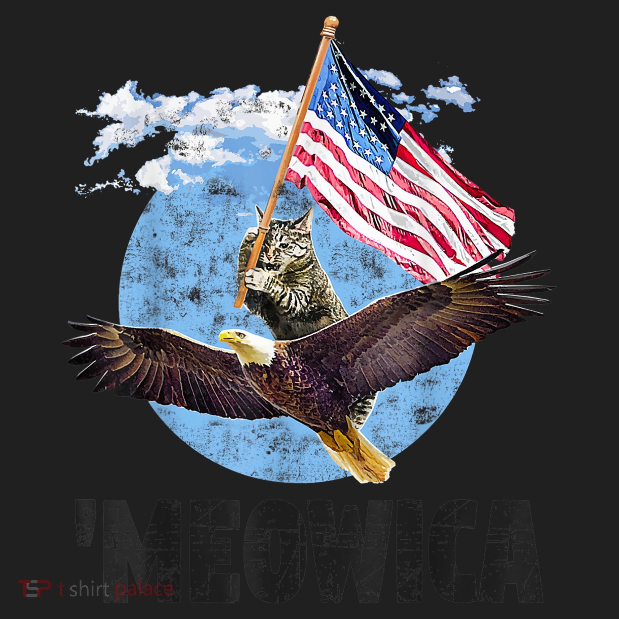 Meowica July 4h Funny Cat Bald Eagle American Flag Beanie