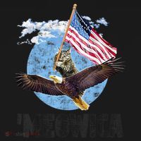 Meowica July 4h Funny Cat Bald Eagle American Flag Women's Hoodie thumb 2