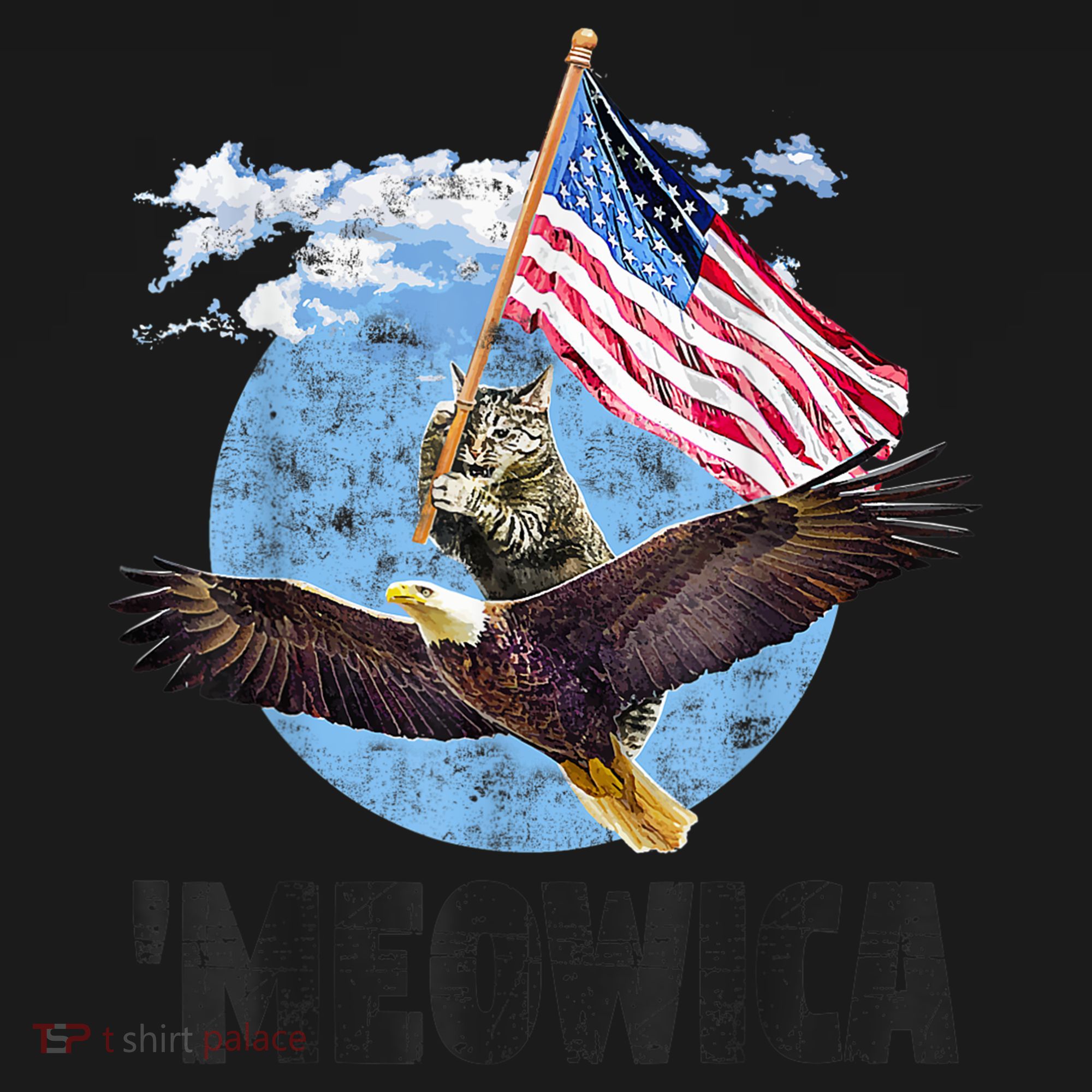 Meowica July 4h Funny Cat Bald Eagle American Flag Women's Hoodie