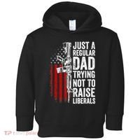 Mens Just A Regular Dad Trying Not To Raise Liberals Toddler Hoodie thumb 0
