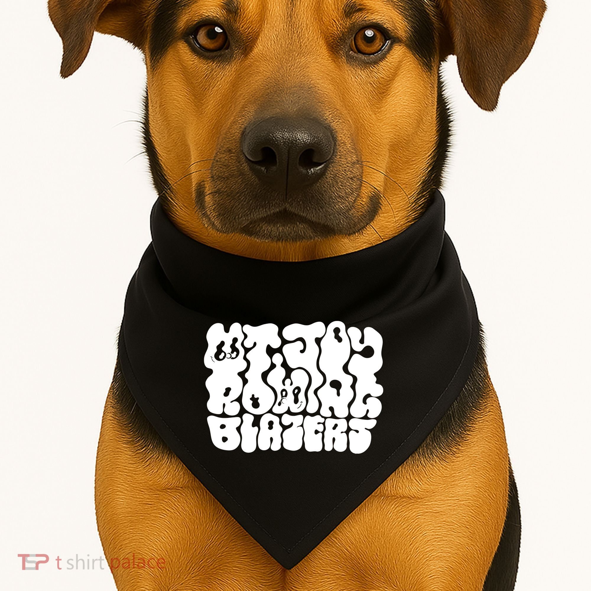 Mt Joy X Rowing Blazers USA-Made Doggie Bandana