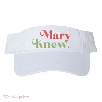 Visor