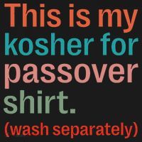 My Kosher For Passover Wash Separately Matzah Pesach Women's Tank Top thumb 5