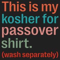 My Kosher For Passover Wash Separately Matzah Pesach Hat thumb 2