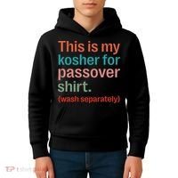 My Kosher For Passover Wash Separately Matzah Pesach Kids Hoodie thumb 4