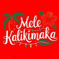 Mele Kalikimaka Hibiscus Palm Waikiki Big Island Christmas Santa Hat thumb 1