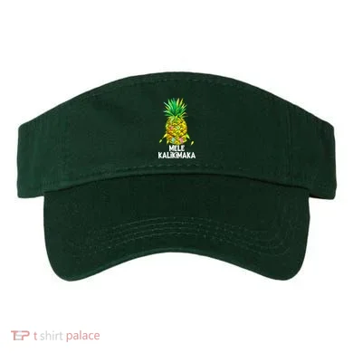 Visor