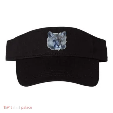 Visor