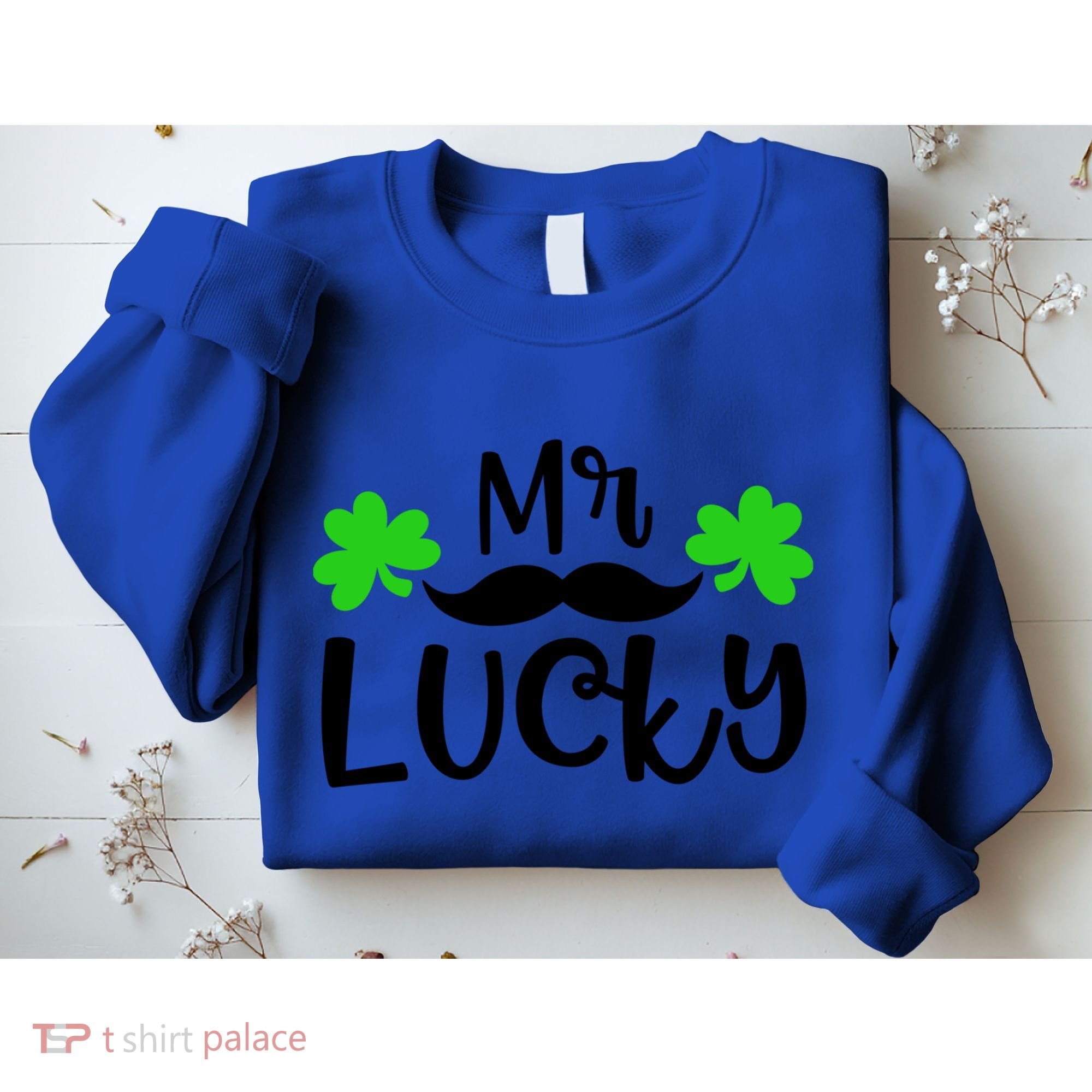 Mr Lucky Cute Gift Sweatshirt