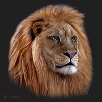 Majestic Lion Head Beanie thumb 2