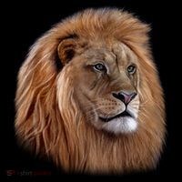 Majestic Lion Head Women's Tank Top thumb 5