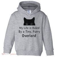 My Life Is Ruled By A Tiny Fluffy Overlord For Toddler Hoodie thumb 0
