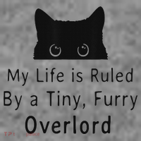My Life Is Ruled By A Tiny Fluffy Overlord For Toddler Hoodie thumb 2