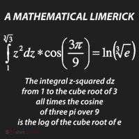 Mathematical Limerick Math Geek Nerd Gift Meaningful Gift Beanie thumb 2