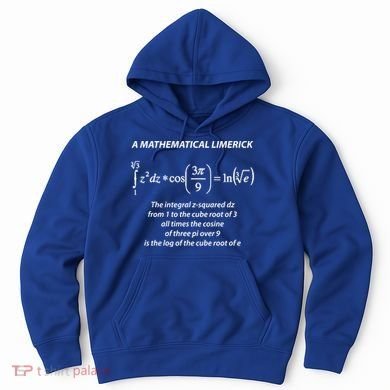 Mathematical Limerick Math Geek Nerd Gift Meaningful Gift Hoodie