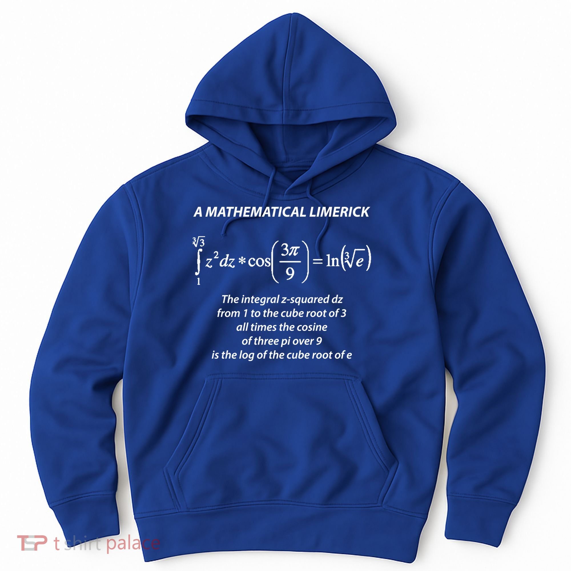 Mathematical Limerick Math Geek Nerd Gift Meaningful Gift Hoodie