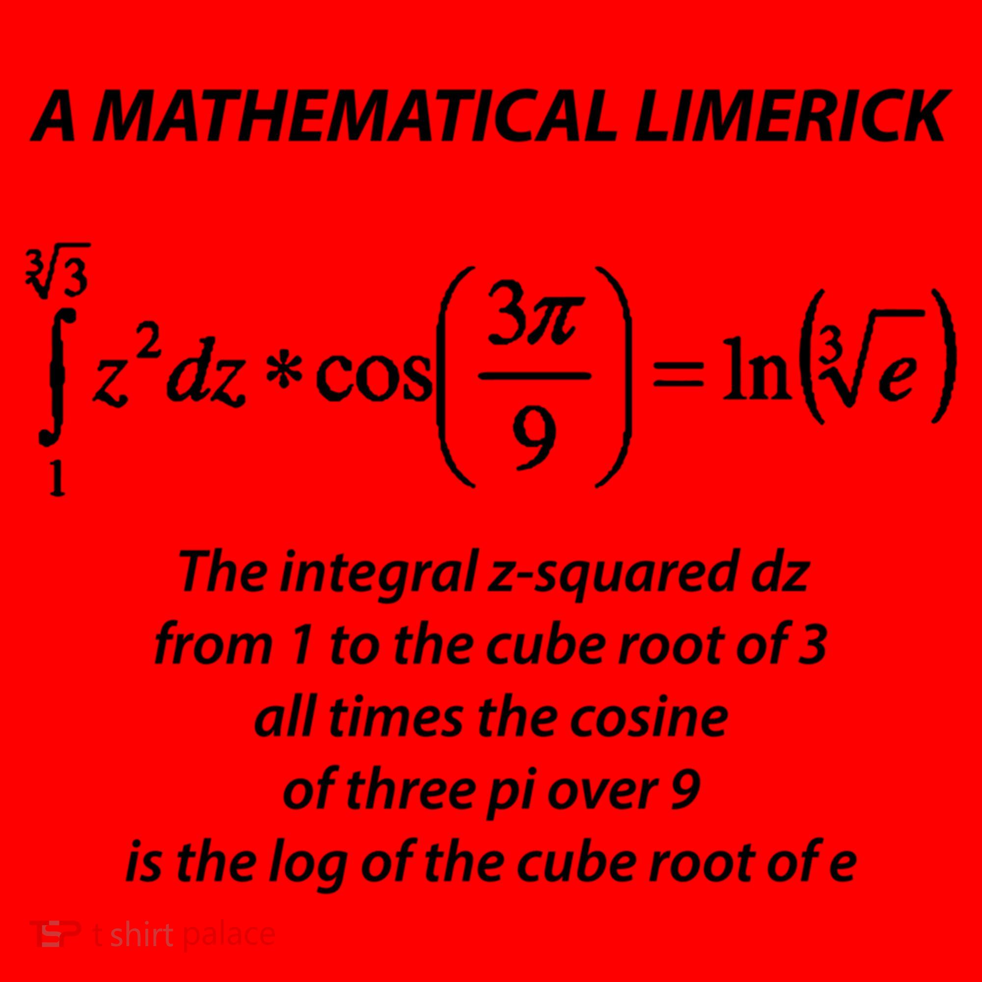 Mathematical Limerick Math Geek Nerd Gift Meaningful Gift Santa Hat