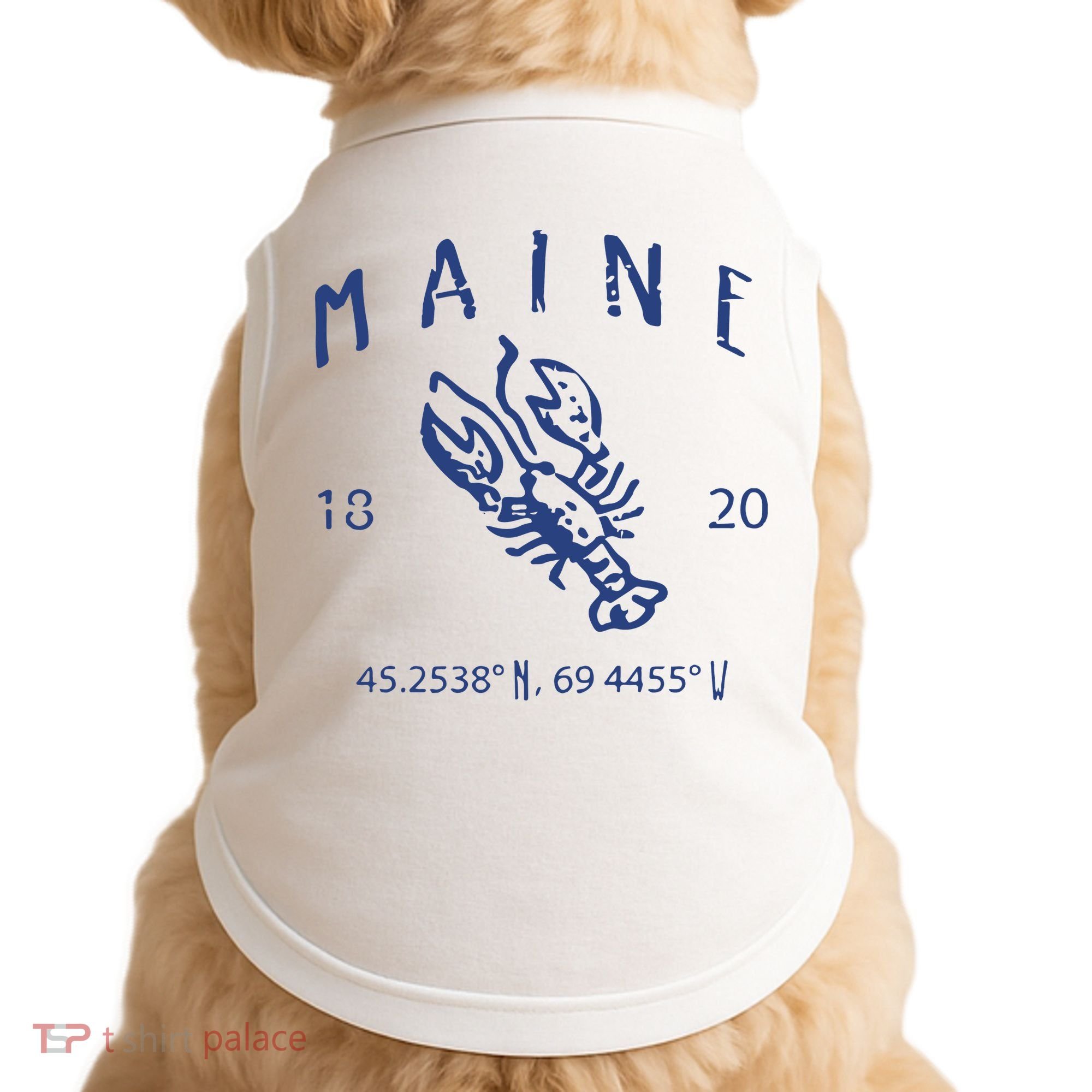 Maine Lobster Doggie Tank