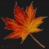Maple Leaf Nature Doggie Tank thumb 4