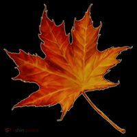 Maple Leaf Nature Ornament thumb 1