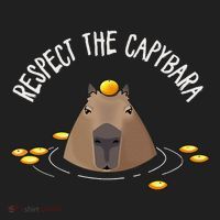 Meme Lover Respect Capybara Women's Sweatshirt thumb 2