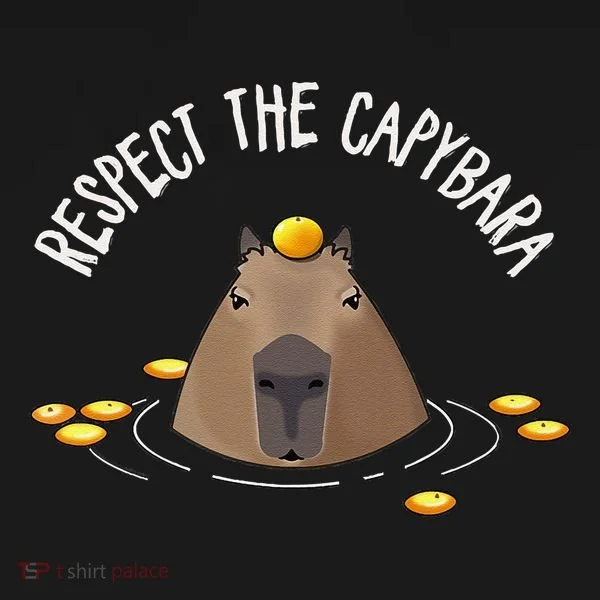 Meme Lover Respect Capybara Toddler Hoodie