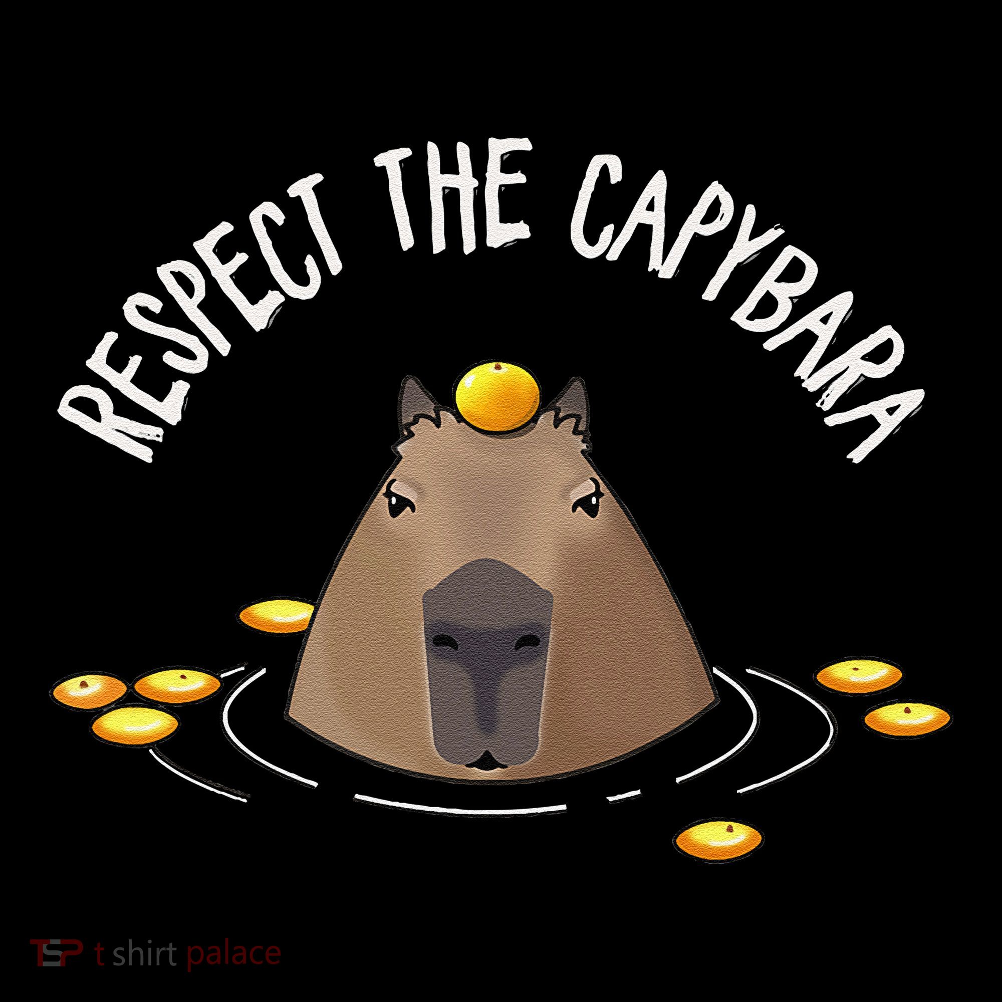 Meme Lover Respect Capybara Toddler T-Shirt