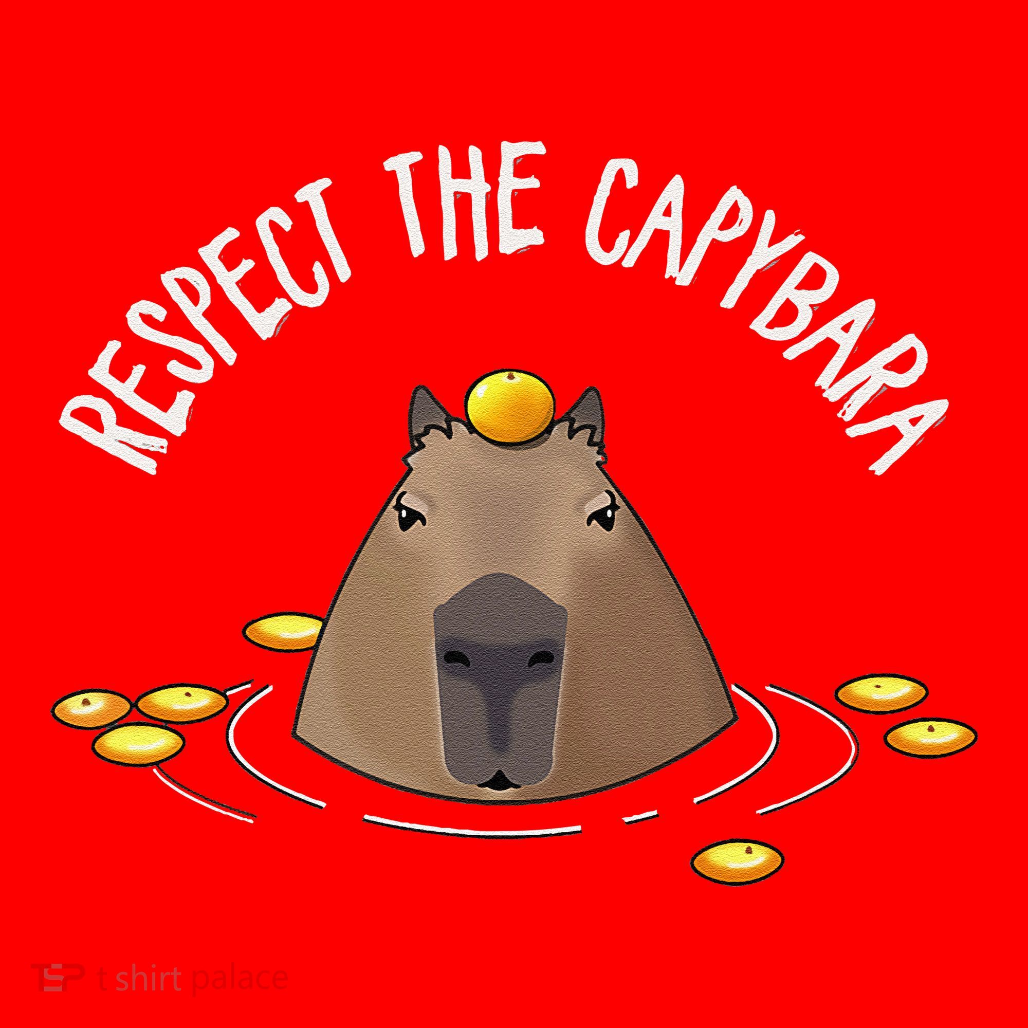 Meme Lover Respect Capybara Santa Hat