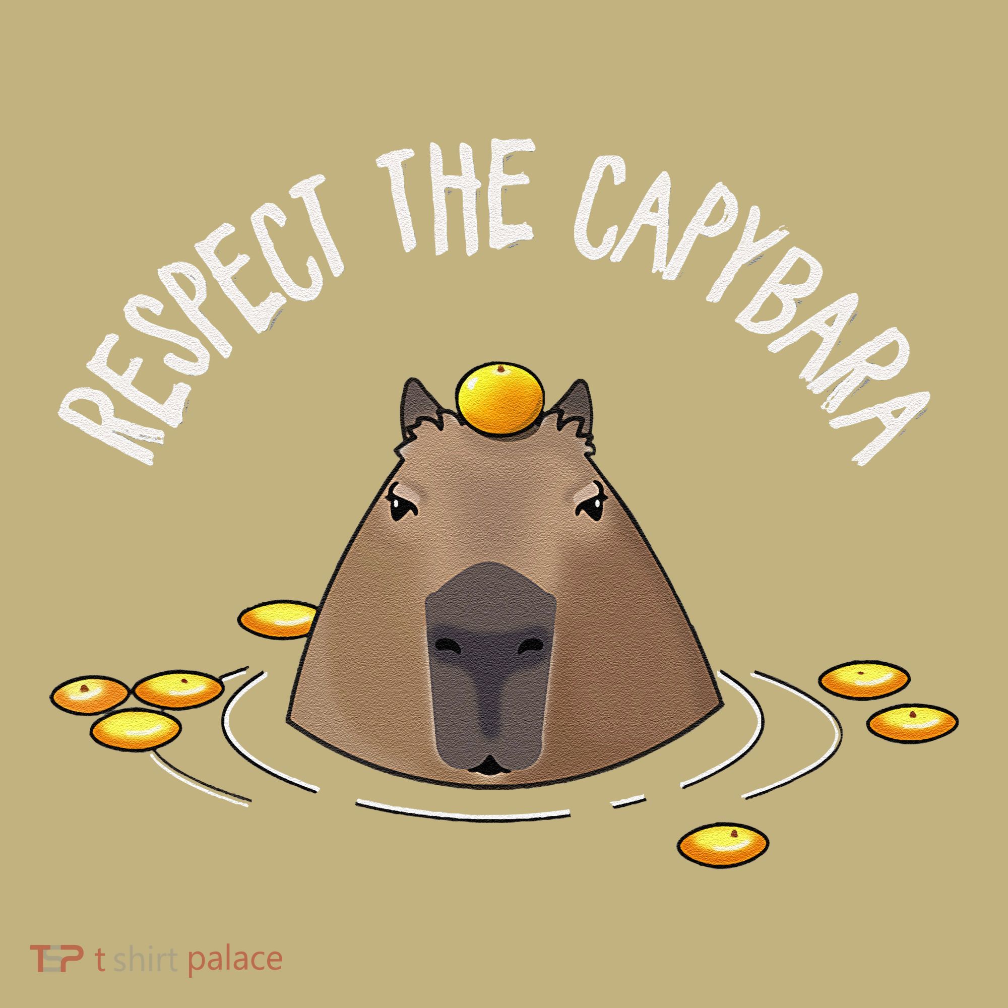 Meme Lover Respect Capybara Button