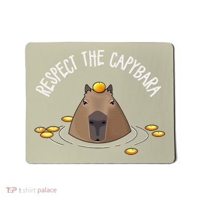 Meme Lover Respect Capybara Mousepad
