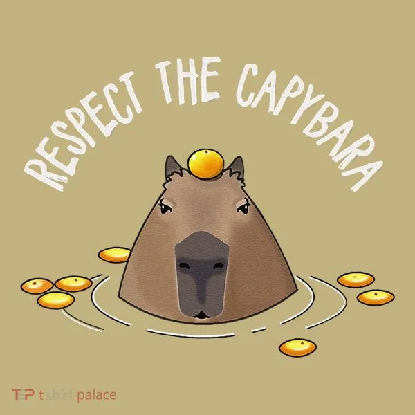 Meme Lover Respect Capybara Kids T-Shirt