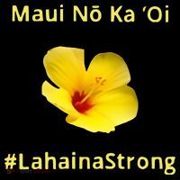 Maui Lahaina Strong Hawaii Strong Wildfire Support Doggie Tank thumb 4