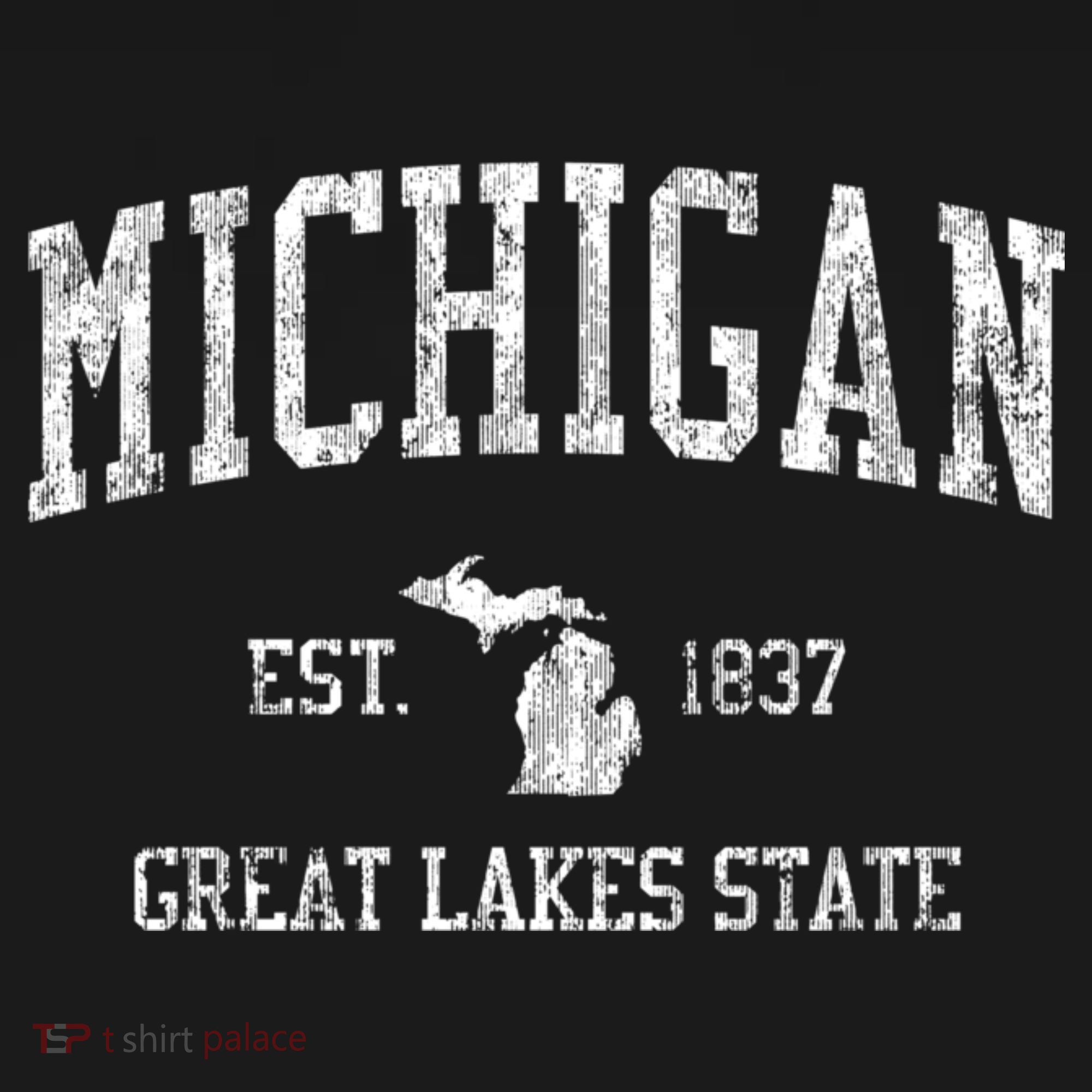 Michigan Long Sleeve Vintage Sports T-Shirt