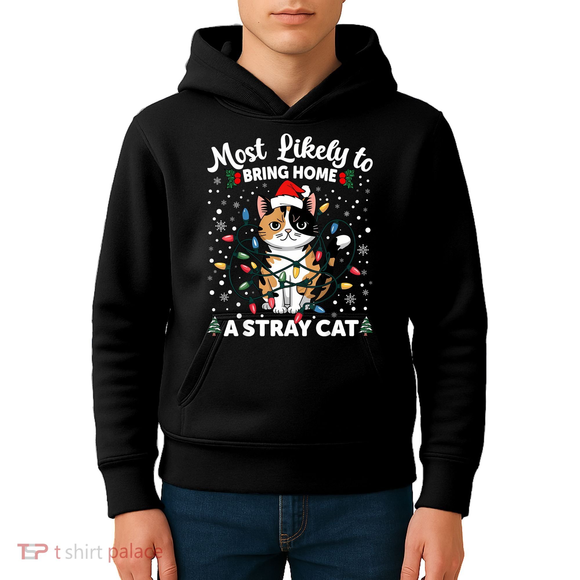 Most Likely To Bring Home A Stray Cat Matching Christmas Kids Hoodie