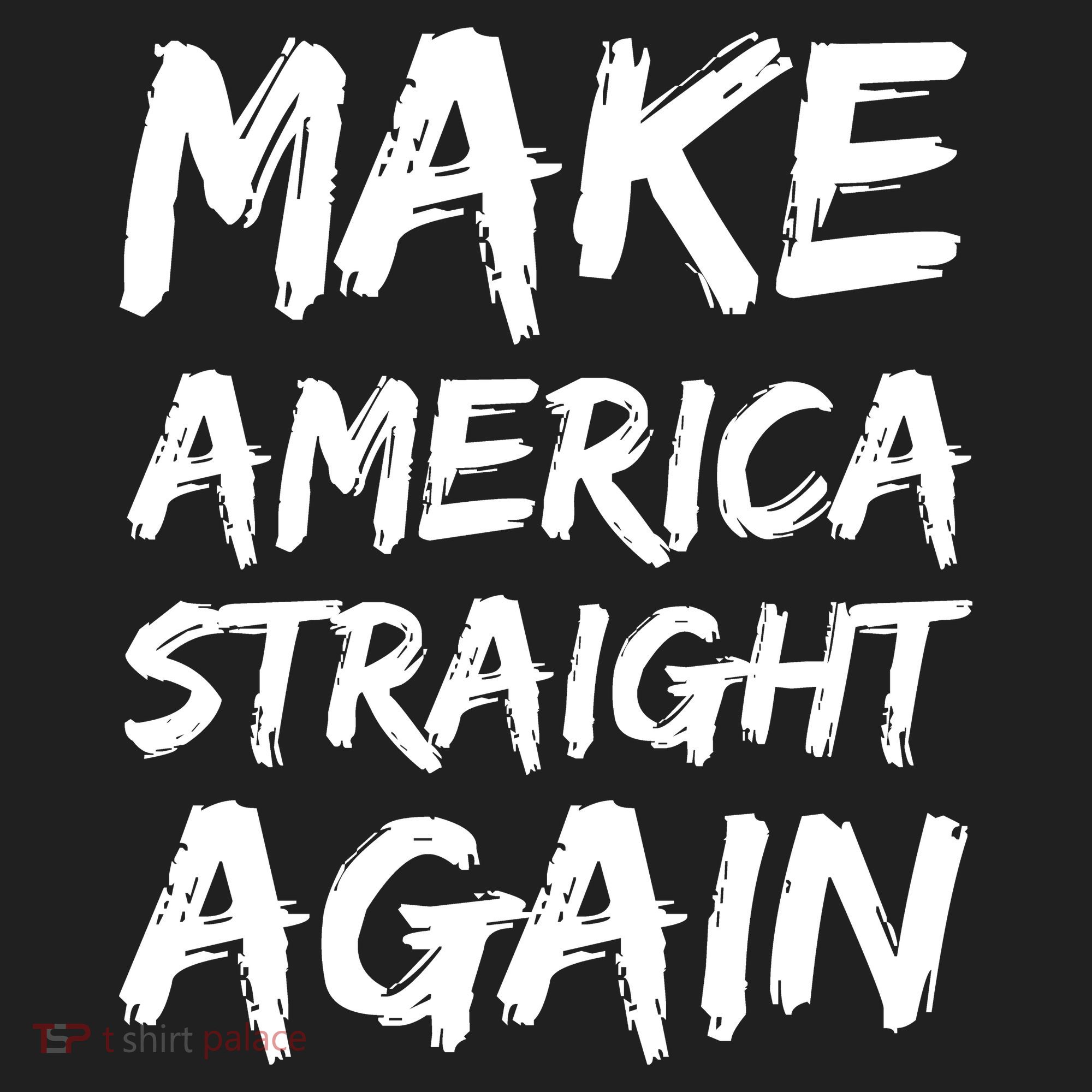 MASA Make America Straight Again Beanie